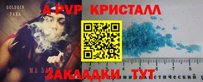 индика Кандалакша