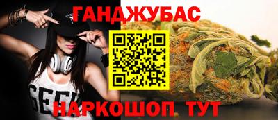 индика Кандалакша