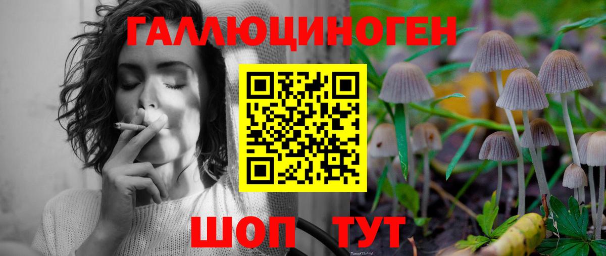 Псилоцибиновые грибы мицелий Туймазы