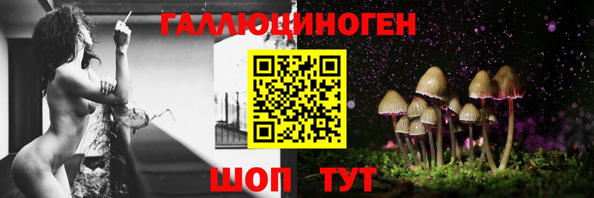 МАРИХУАНА  Вейп ТГК  Бошки Шишки  Вход с VPN  Кокаин  Alpha-PVP СК кристаллы  Меф кристаллы  Туймазы  ГАШИШ 
